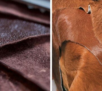 مقایسه اثرات زیست محیطی چرم طبیعی و مصنوعی