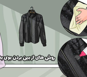 چگونه بوی بد داخل کیف چرم را از بین ببریم؟
